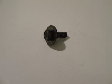 6398574.JPG