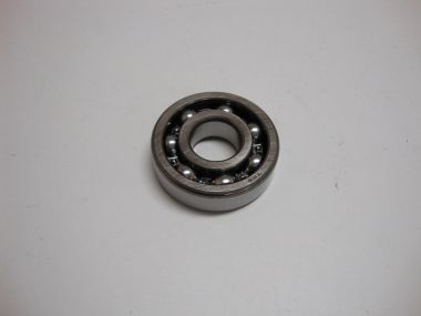 7084933.JPG