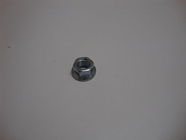 7271767.JPG