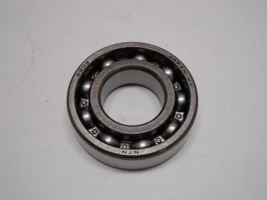 7294496.JPG
