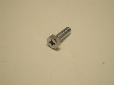 7372896.JPG