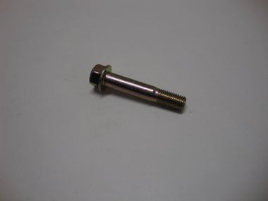 7636756.JPG