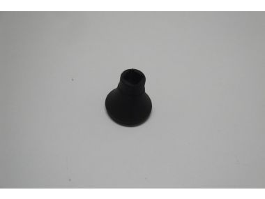7751177.JPG