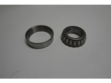 8017717.JPG