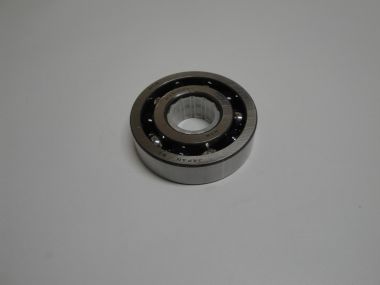 8918717.JPG