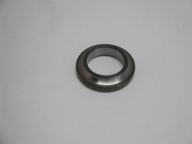 8918956.JPG