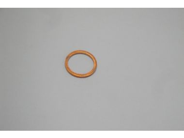 9074577.JPG